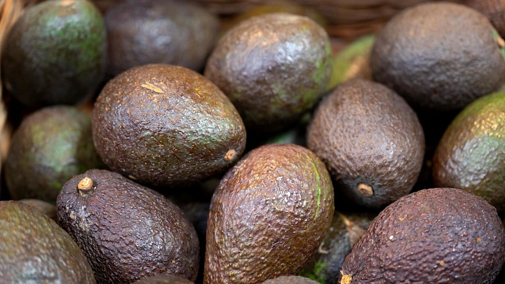 В России появится первое органическое авокадо из Эквадора