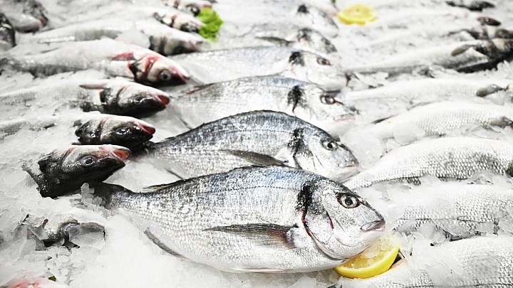 Ученые создали систему для выявления рыбы "второй свежести"